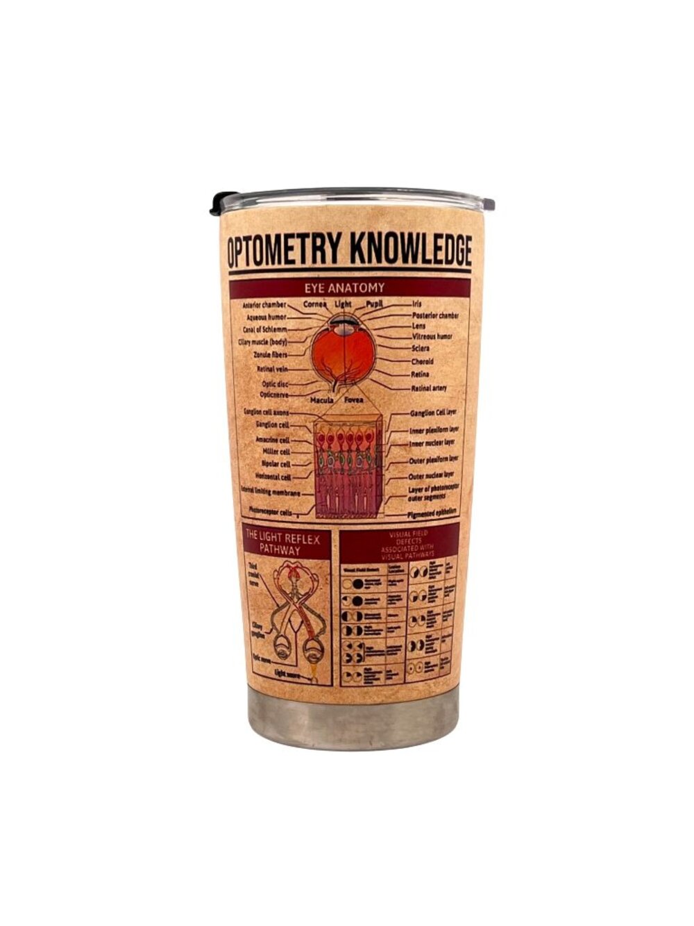 Optometry Knowledge Stainless Steel Tumbler Mug Eye Anatomy Vision Defects Chart